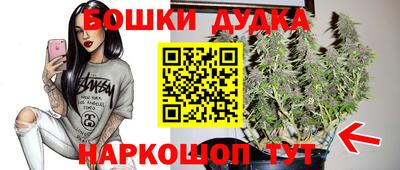 спиды Донской