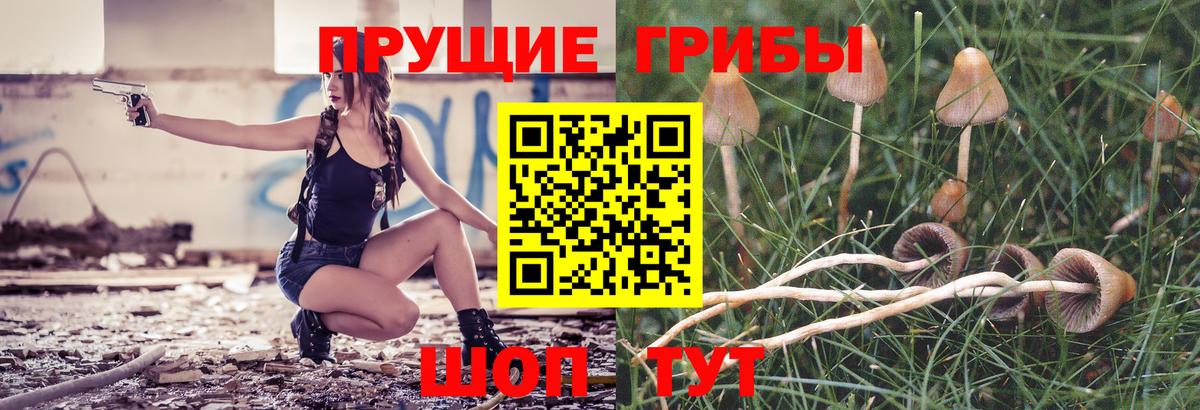 Галлюциногенные грибы мицелий  Вход с VPN  Лангепас  даркнет сайт  Псилоцибиновые грибы прущие грибы 
