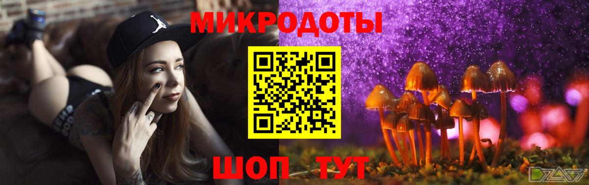 Псилоцибиновые грибы Psilocybine cubensis Лангепас